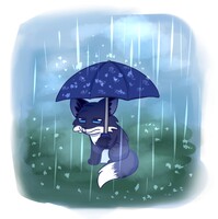 Rainy fox
