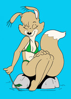 A Quiet Moment With Daisy Dingo