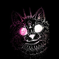 The Prettiest of Pretty Kitties