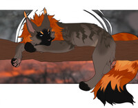[C] Warrior