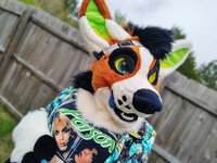 Nothing But a Good Time