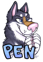 Pen Conbadge