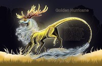 Auction OPEN. Adopt Hurricane