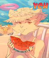 Summer YCH [OPEN]