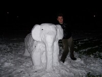snowlephant