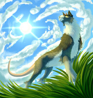 Sunny day