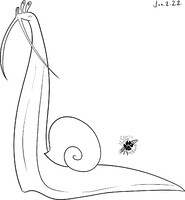 F2U BASE: Super Tol Snail