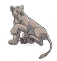 Random Lion 