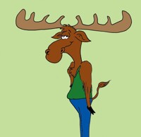silly moose