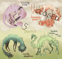 (closed) auction adopts - flower packs