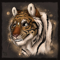 Tiger colored sketch headshot