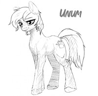 "silk cream" pony form