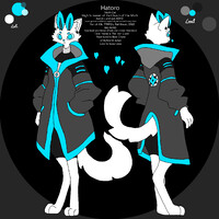 lore accurate moth cat ref sheet