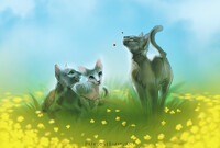 Cats in sprint