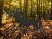 The Void Wolf