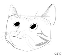 First cat
