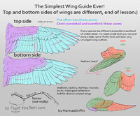 Simple Wing Tutorial