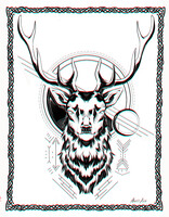 Deer