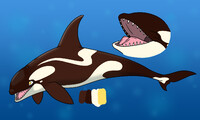 Orca Adopt - Chocolate Swirl (OPEN)