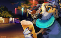 Summer Night