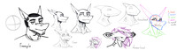 Shark Head Shapes