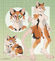 Opossum Adopt Auction OPEN