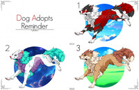 ✨Dog Adopts Reminder✨