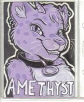 Dingbat Badge Fcn 2010