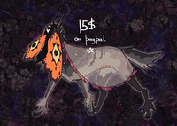 ADOPT: moth-head dog