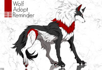⚪Wolf Adopt Open🔴