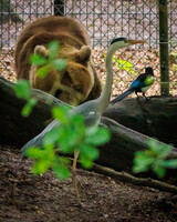 What are you all doing here!