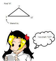 Math Expert