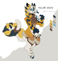 Yellow geko - auction open