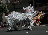 Lion Dancer 2