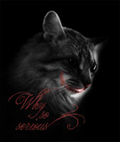 Why still so serious?