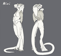 Riri - Snow Avialyx reference
