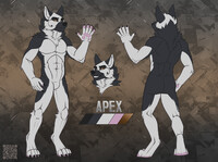 Apex [Reference Sheet]
