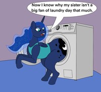 Luna's Laundry Day