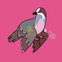 AvianAugust - Day 1
