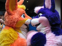 Confuzzled 2011