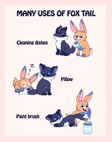 Many uses of fox tail