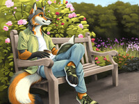 A day at the park