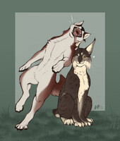 Wolf x Lynx | sketch