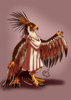 CM - Horawk