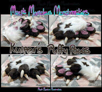 Kuiper's puffy paws