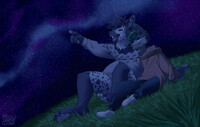 Commission for Samiversal