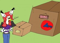 kittybird gets a new box