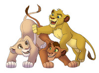 New Cubs