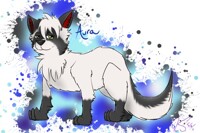 Aura wolf 
