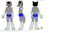 My Fursona Reference sheet~
